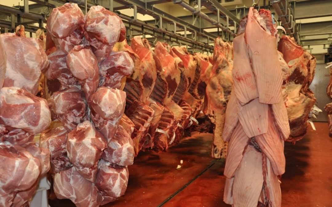 Spotřeba masa v ČR