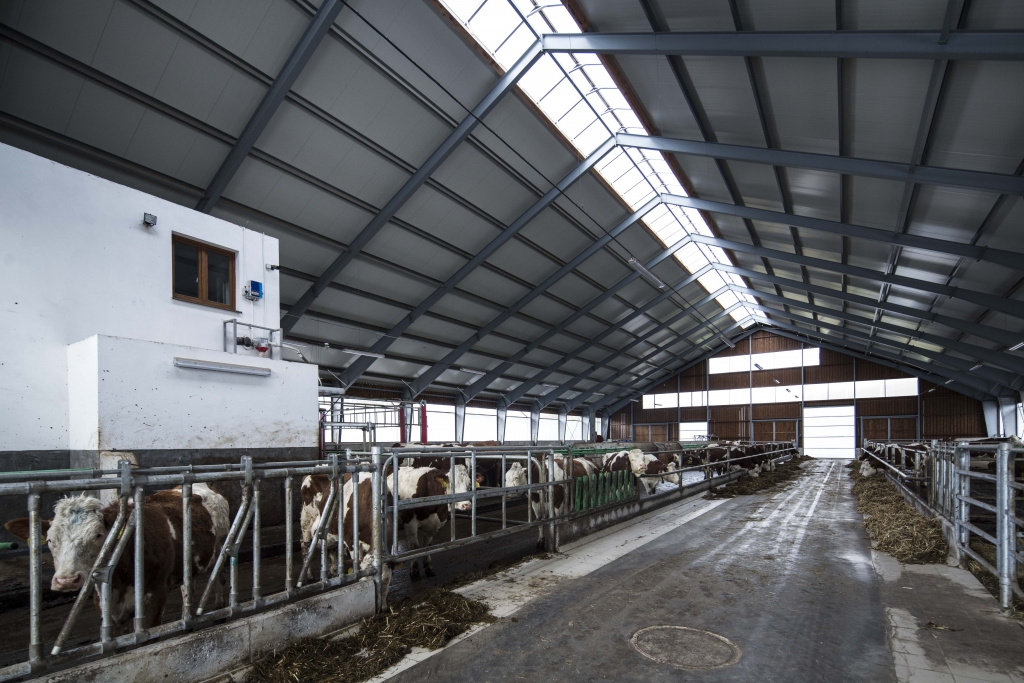 1459167317_cs_gh3b0855