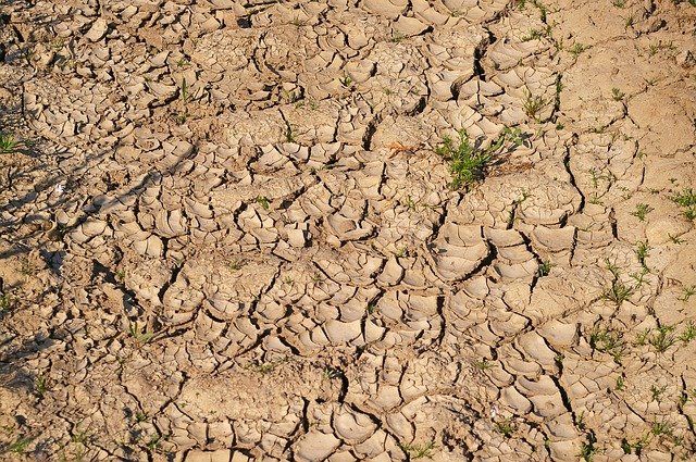 Situace se suchem je podobná jako loni, dle vědců se má zhoršovat
