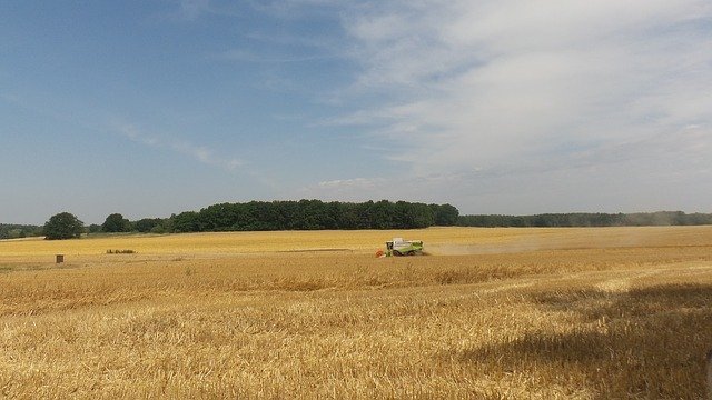 ČSÚ:Zemědělská produkce v ČR bude letos asi nejvyšší od roku 1998