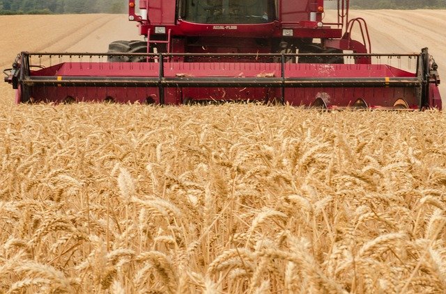 ČSÚ: Zisk zemědělství loni vzrostl o 2,8 pct na 17,7 miliardy Kč
