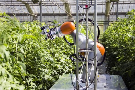 Brněnští vědci spolupracují na vývoji robota, který rozezná patogeny u rostlin