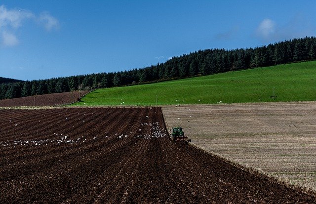 Zemědělský svaz ČR zahajuje novou soutěž pro producenty Odpovědně ke krajině