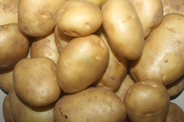 Cenovka – brambory – únor 2022