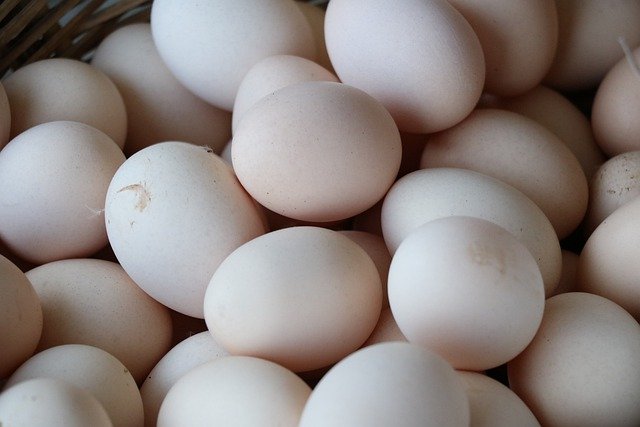 Novela zákona zjednoduší prodej vajec z automatů, omezí domácí porážky