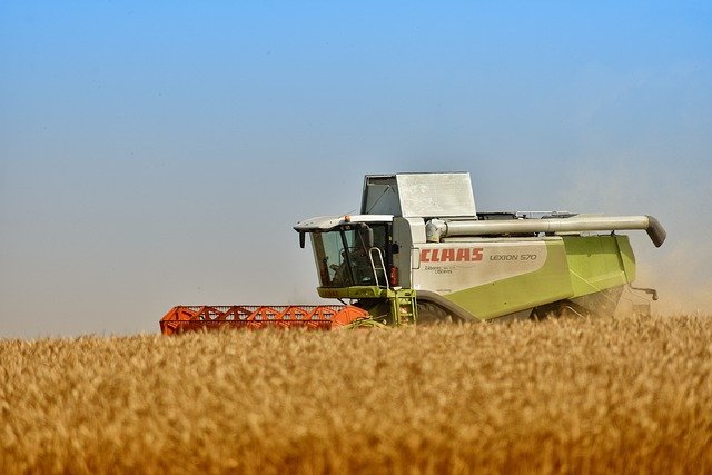 Zemědělci sklidili 40 procent obilovin, práce pokračují pomaleji než loni