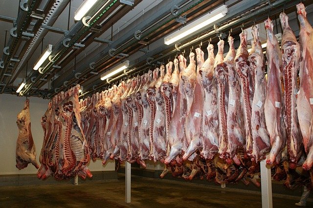 Výroba masa v ČR loni klesla na nejnižší úroveň nejméně od roku 2000