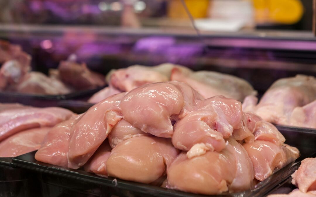 Cenovka – kuřecí maso – srpen 2025