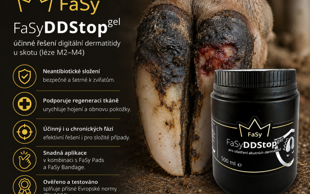 Digitální dermatitida – proč je prevence klíčem ke zdravým paznehtům